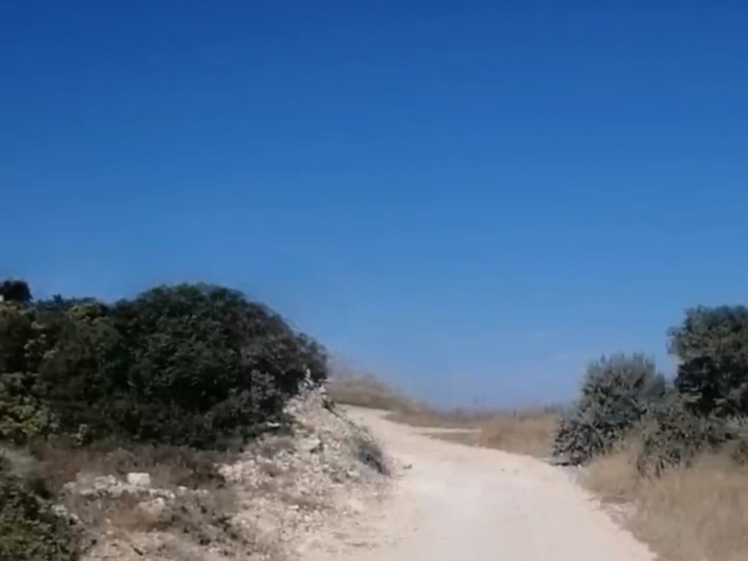 Çınar Gayrimenkul